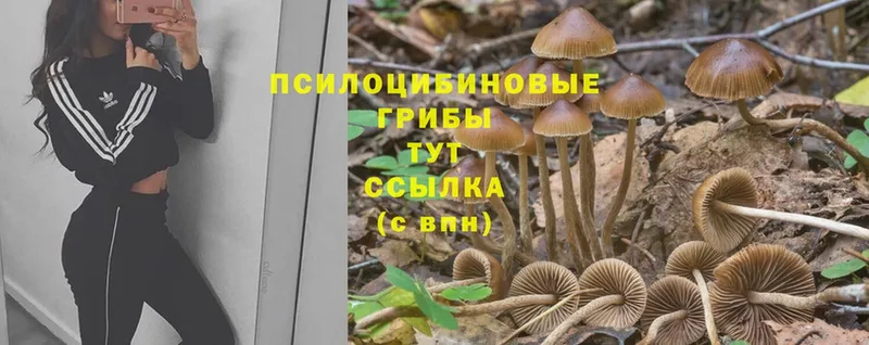 Галлюциногенные грибы MAGIC MUSHROOMS  Чусовой 